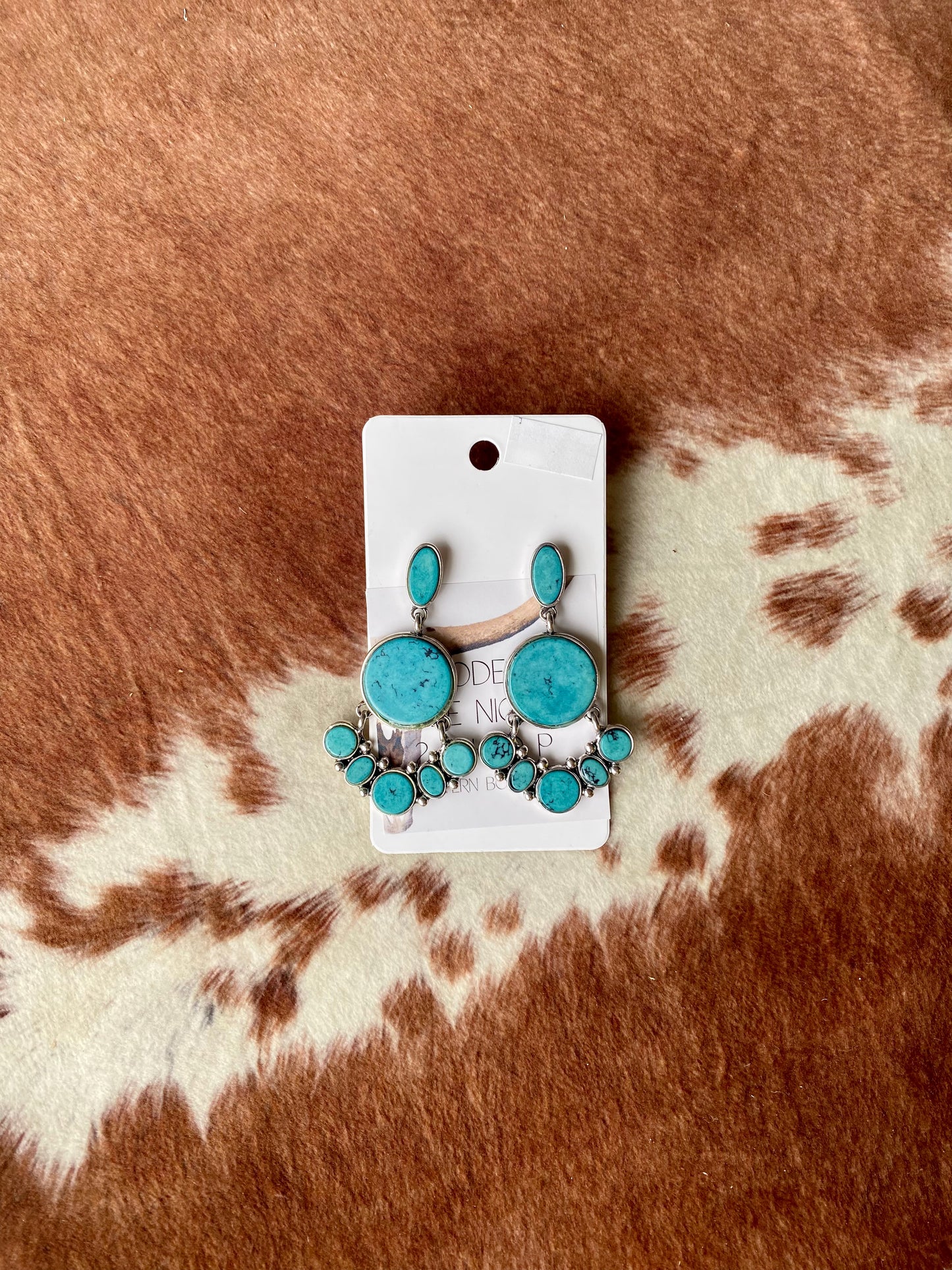 Careen Creek Stone Earrings